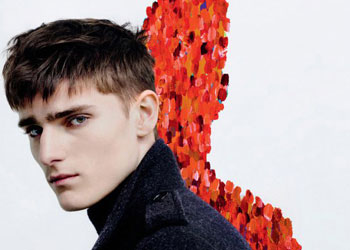 alexander beck